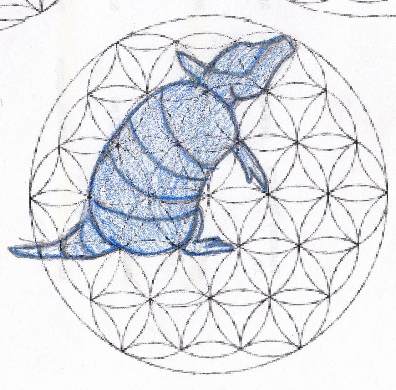 Armadillo — Primeros Trazos 3