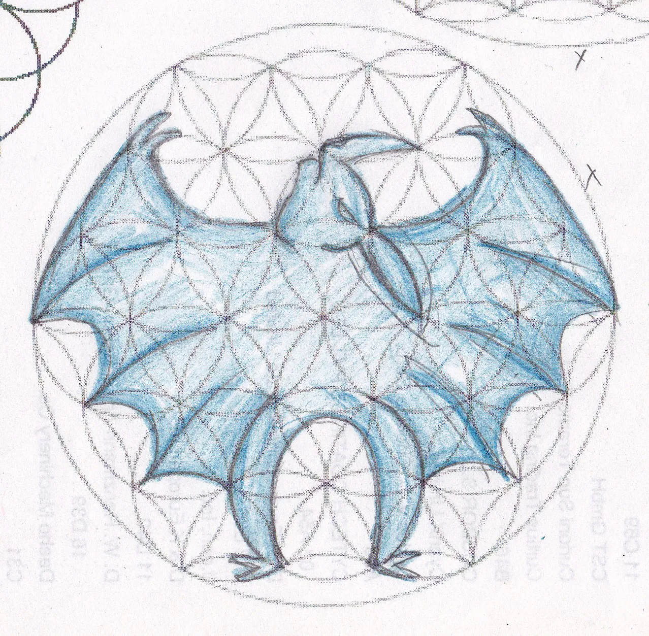 Murciélago — Primeros Trazos 3