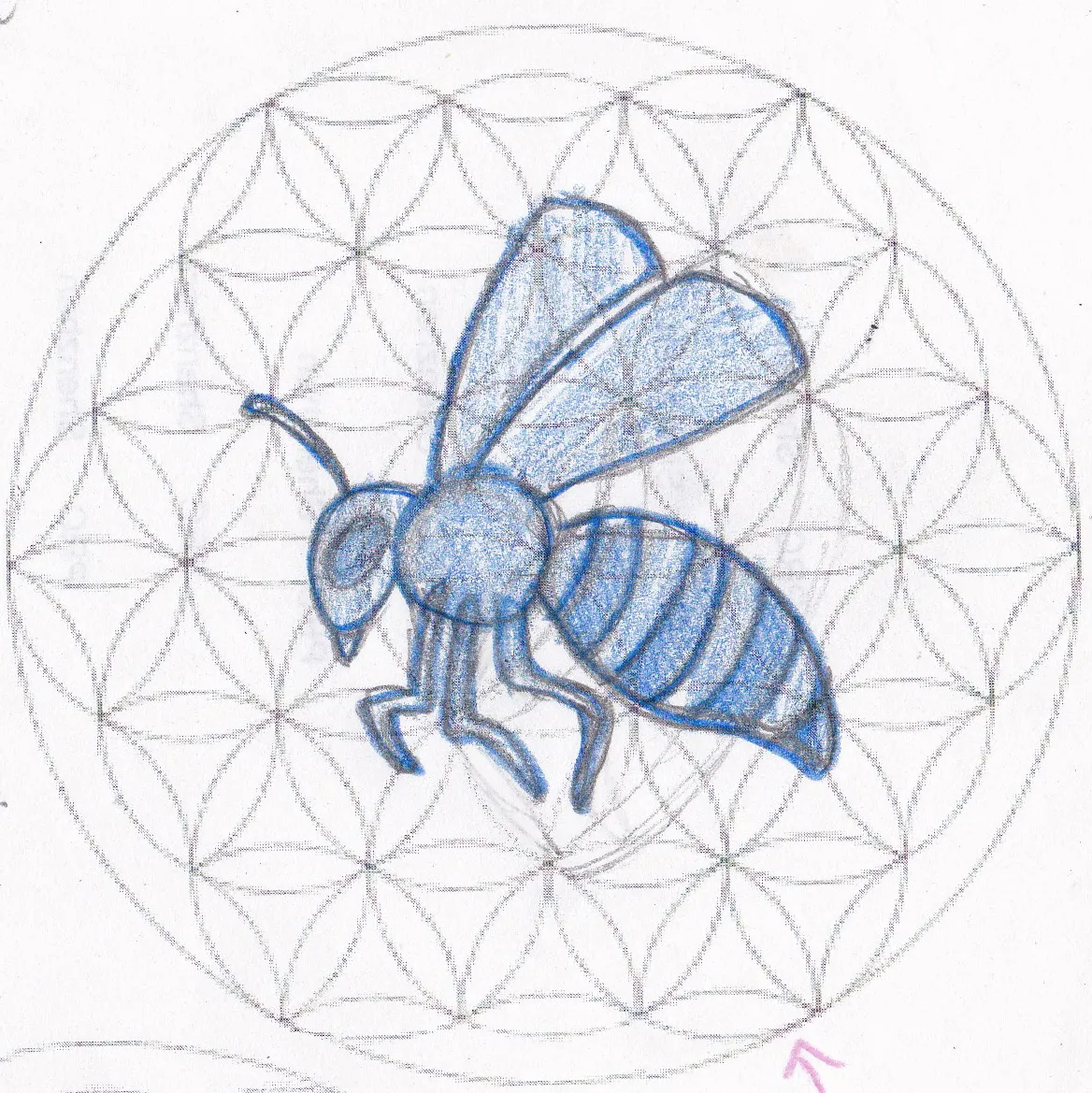 Abeja — Primeros Trazos 1