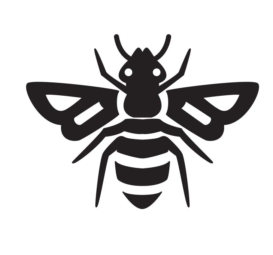 Abeja — Primeros Trazos 4