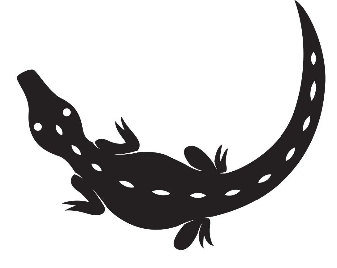 Cocodrilo — Primeros Trazos 2