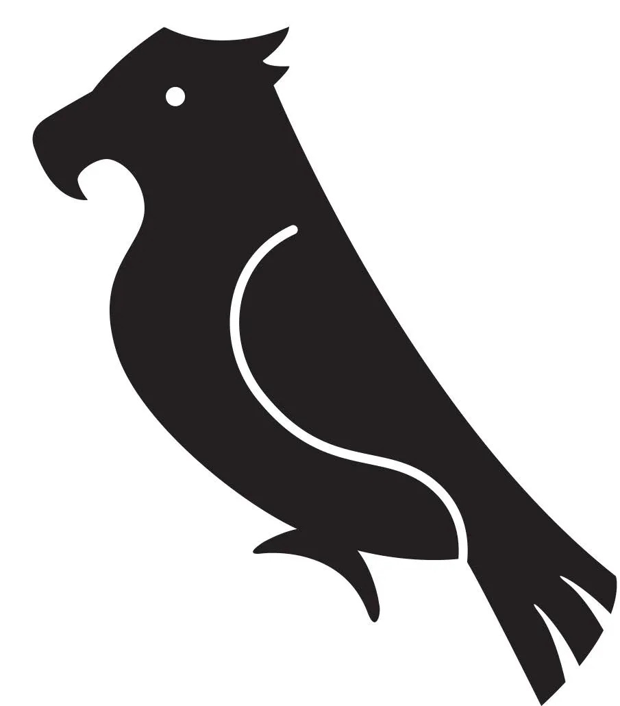 Águila — Primeros Trazos 4