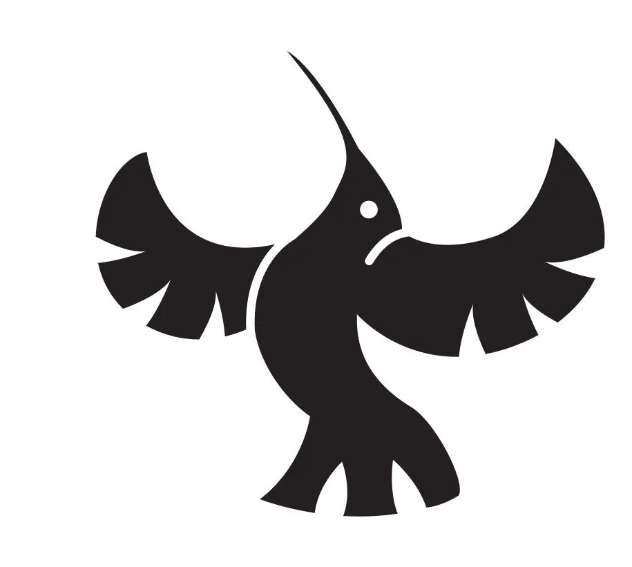 Colibrí — Primeros Trazos 2