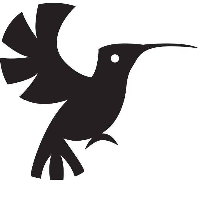 Colibrí — Primeros Trazos 4