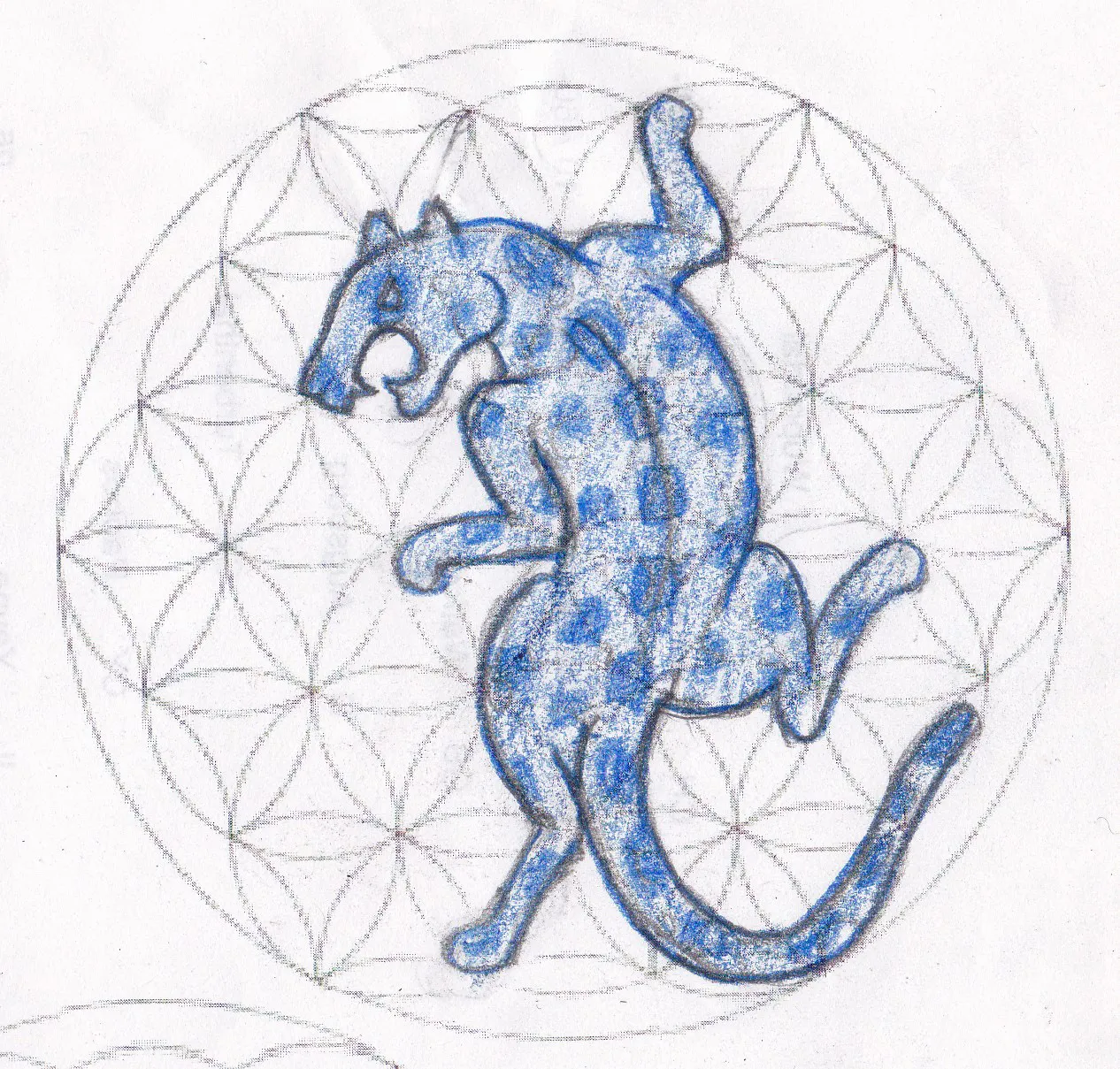Jaguar — Primeros Trazos 1