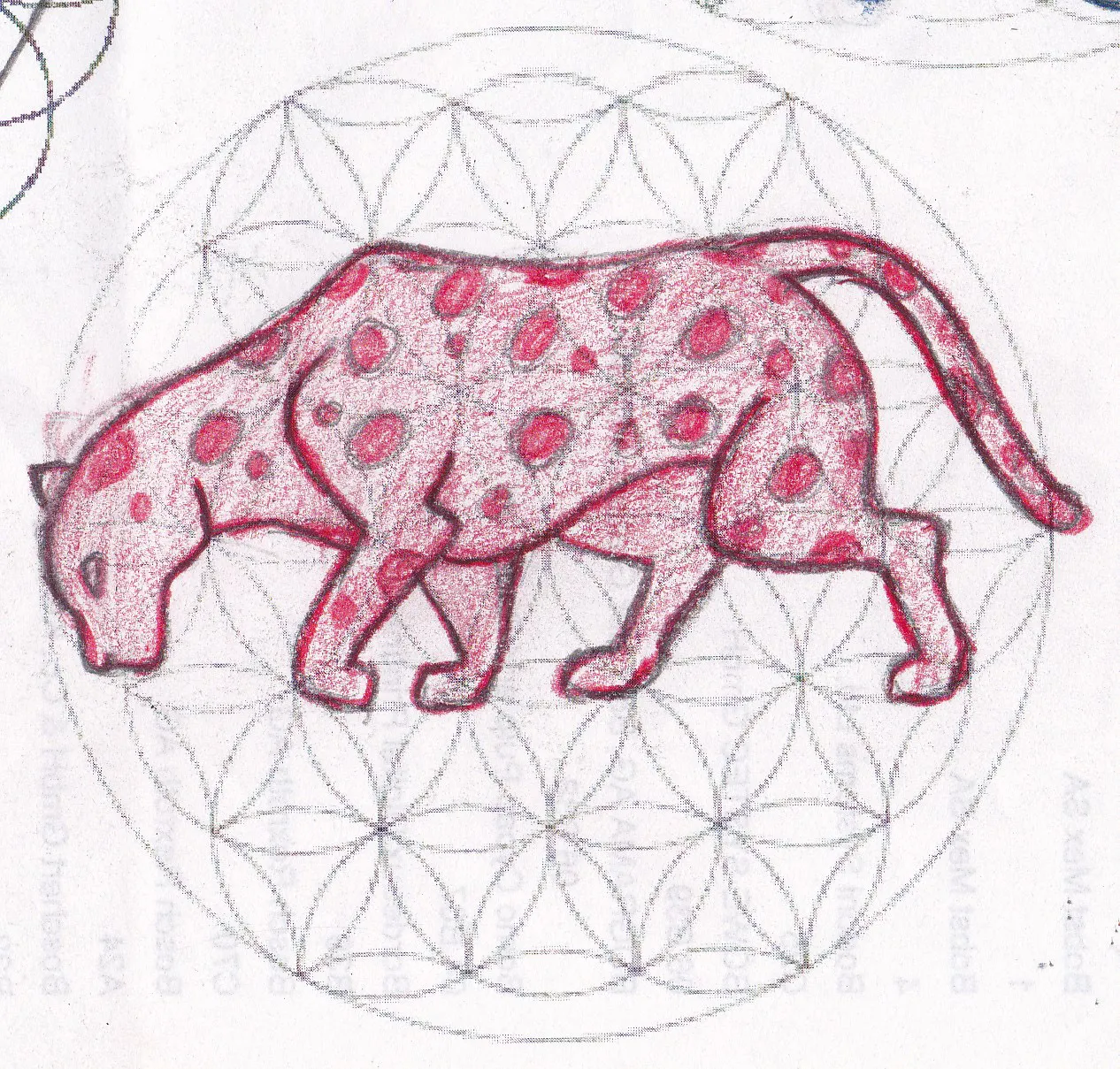 Jaguar — Primeros Trazos 3