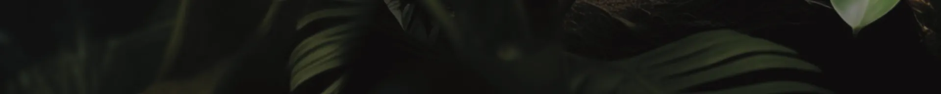 Lagartija