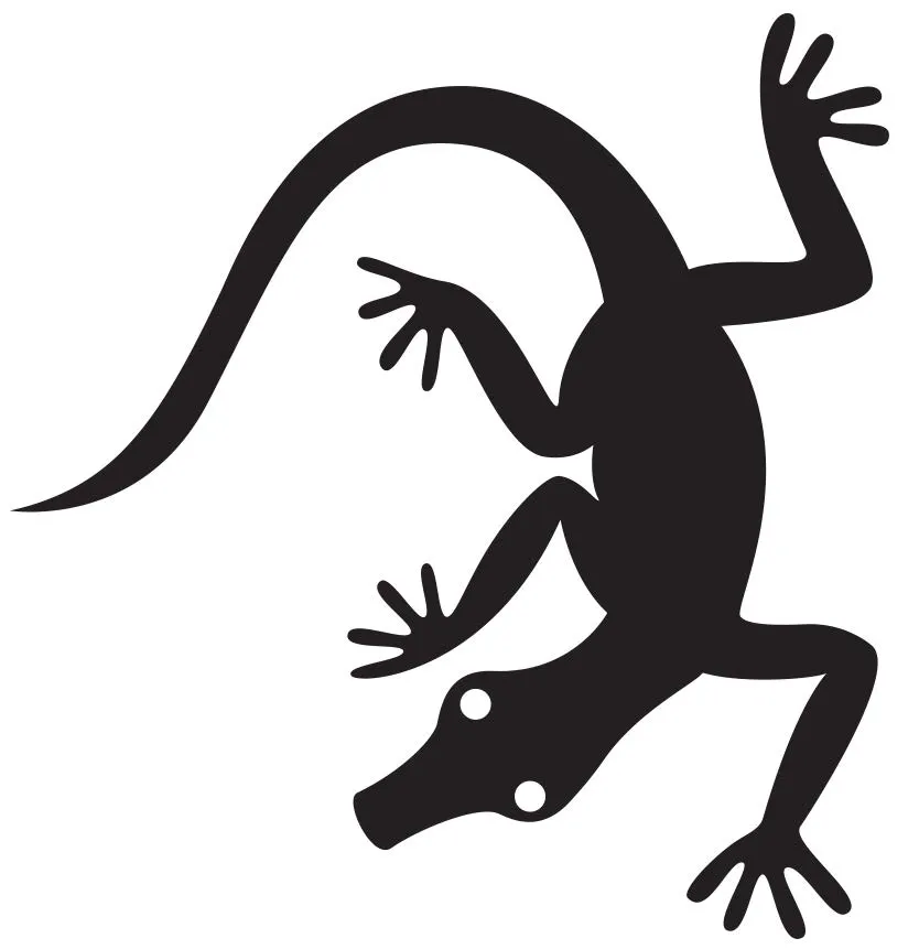 Lagartija — Primeros Trazos 2