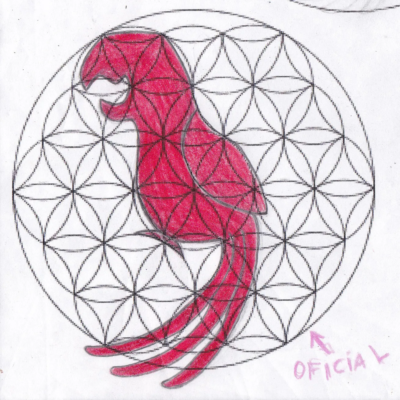 Guacamaya — Primeros Trazos 1