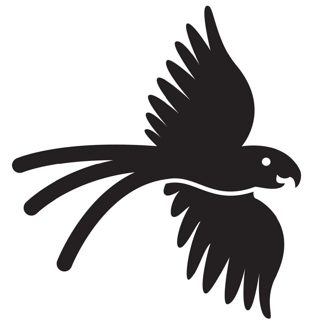 Guacamaya — Primeros Trazos 4