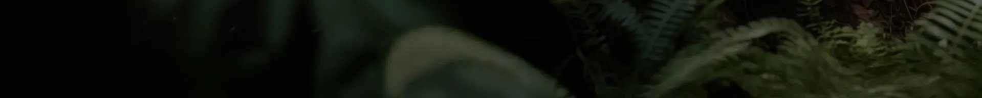 Mono