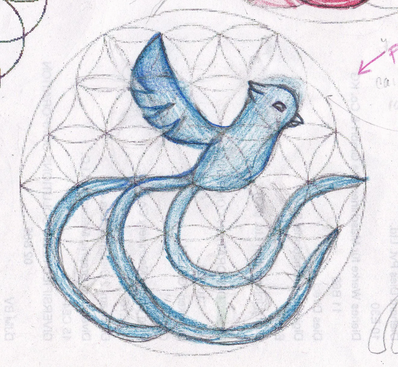 Quetzal — Primeros Trazos 1