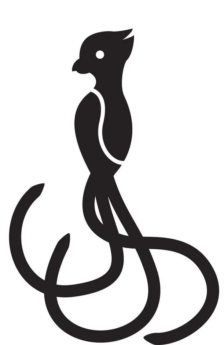 Quetzal — Primeros Trazos 4