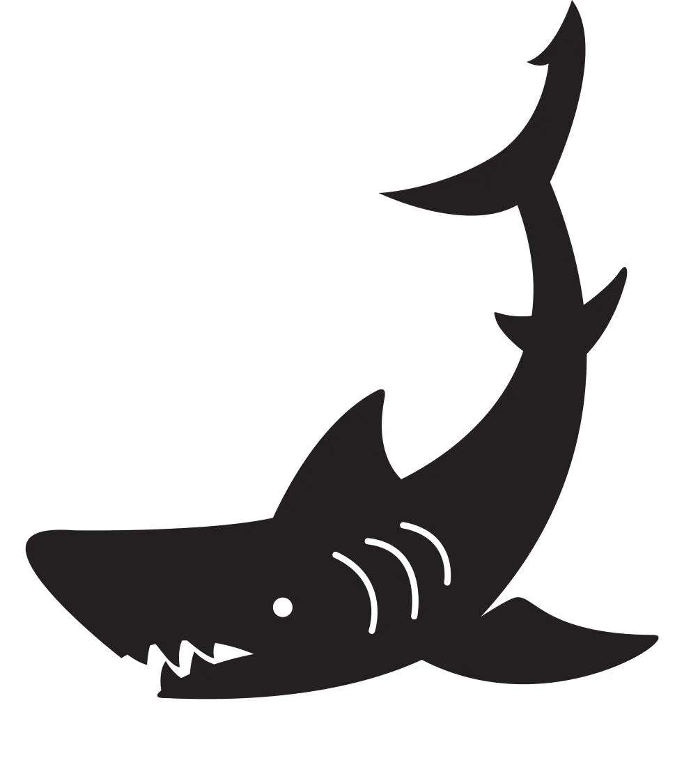 Tiburón — Primeros Trazos 4