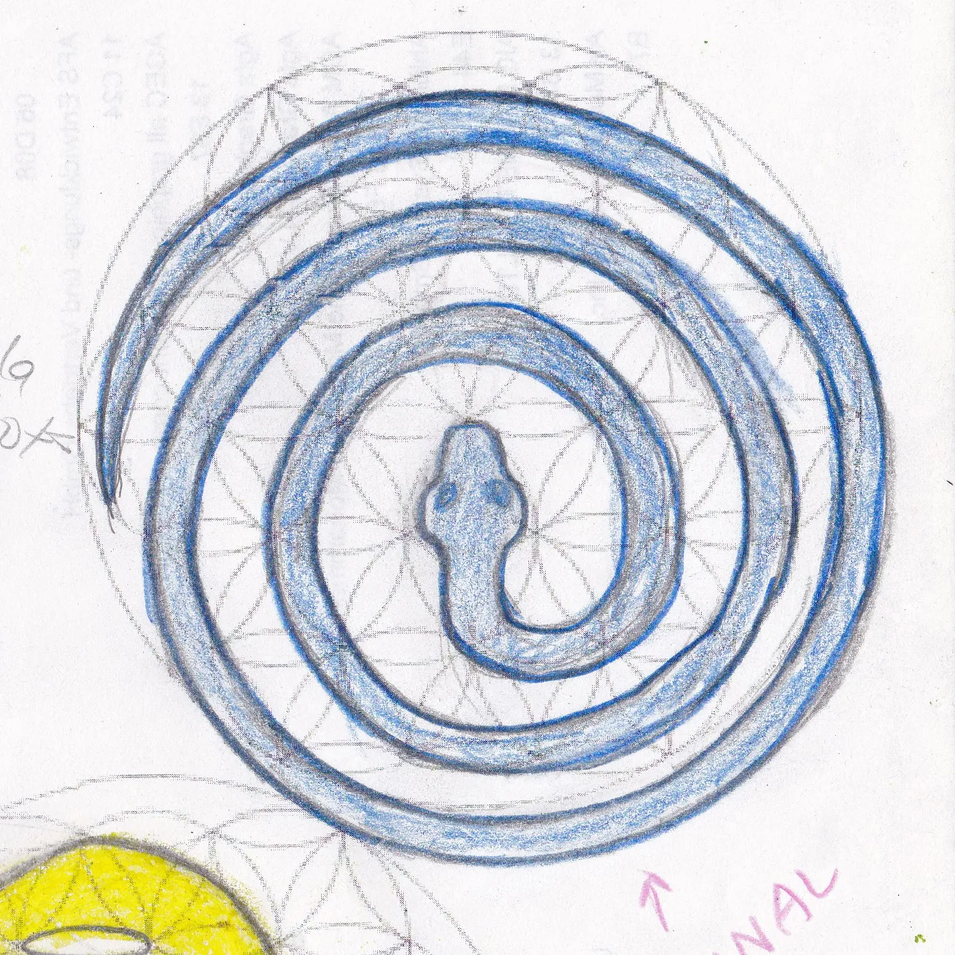 Serpiente — Primeros Trazos 1