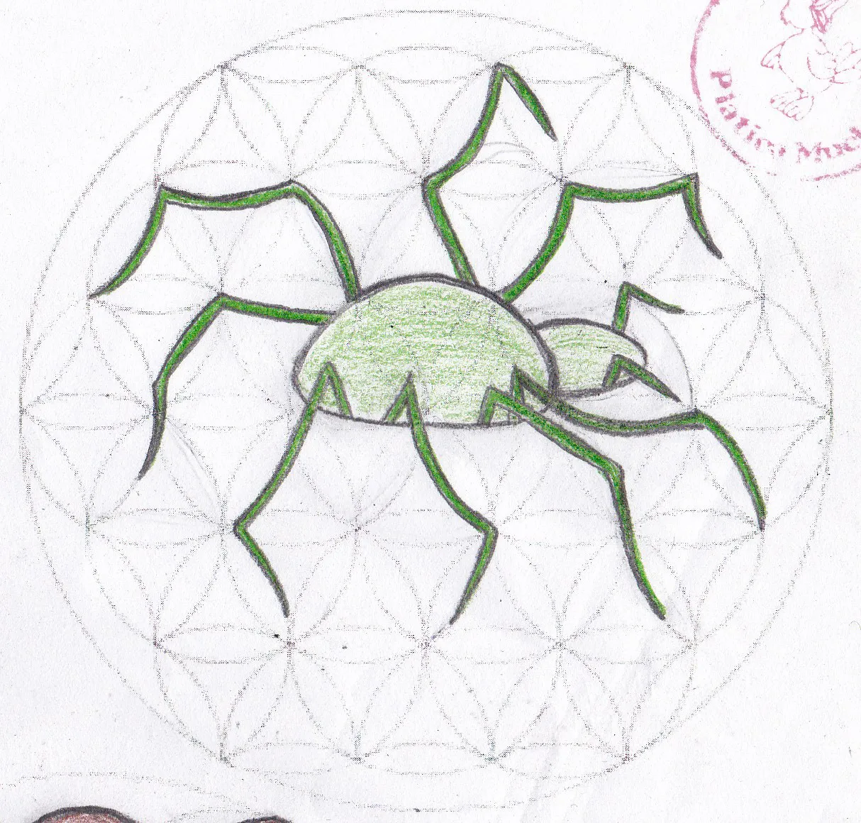 Araña — Primeros Trazos 3