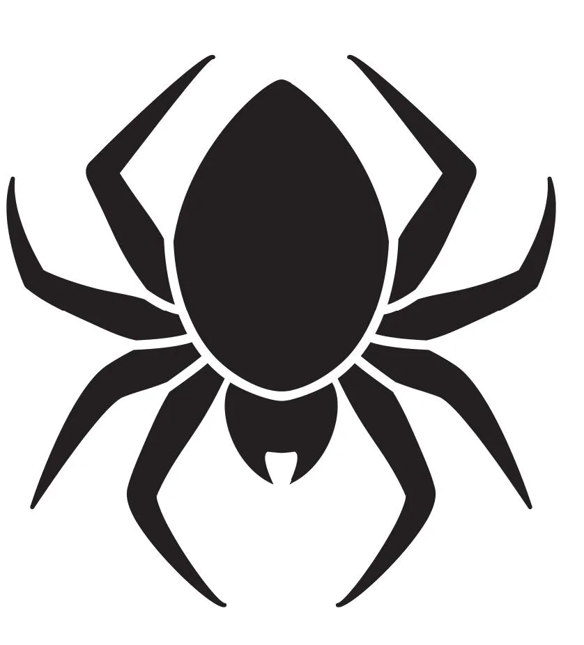 Araña — Primeros Trazos 2