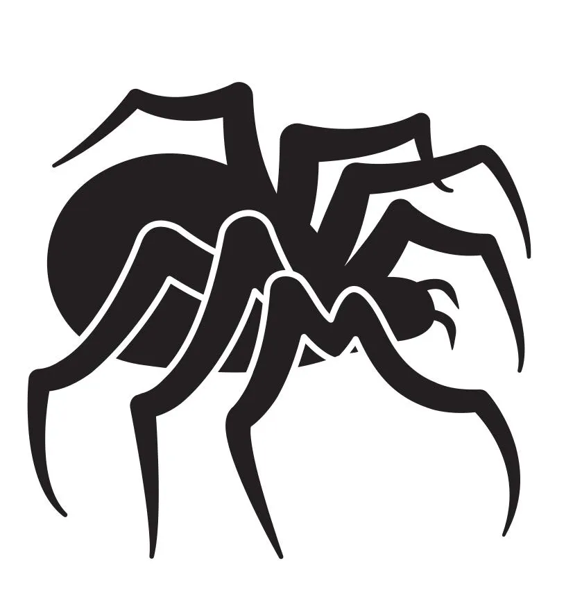 Araña — Primeros Trazos 4