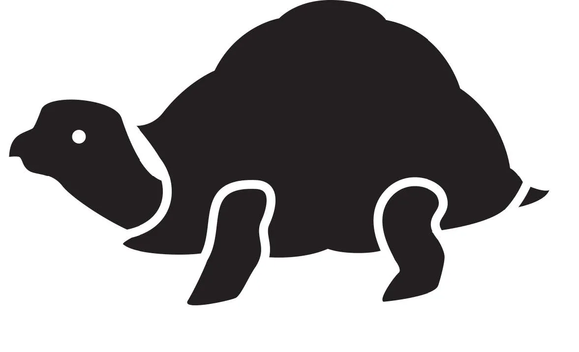 Tortuga — Primeros Trazos 2