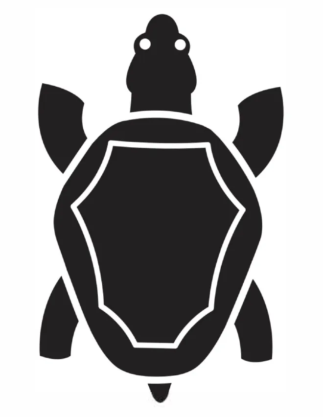 Tortuga — Primeros Trazos 4