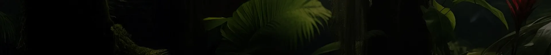 Pájaro Carpintero