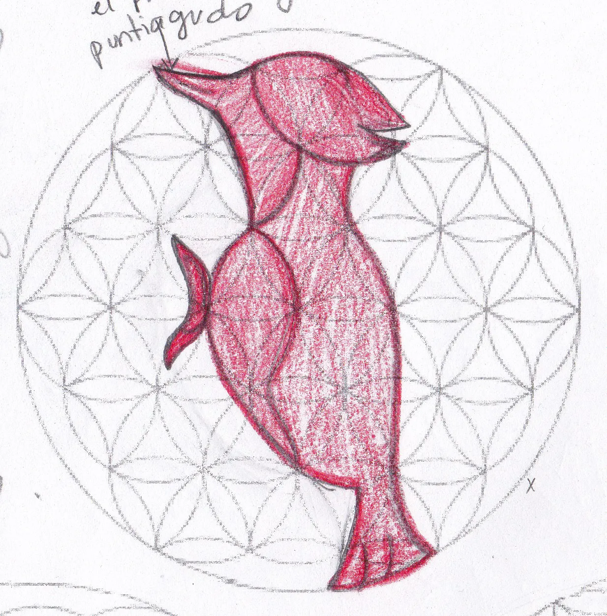 Pájaro Carpintero — Primeros Trazos 3